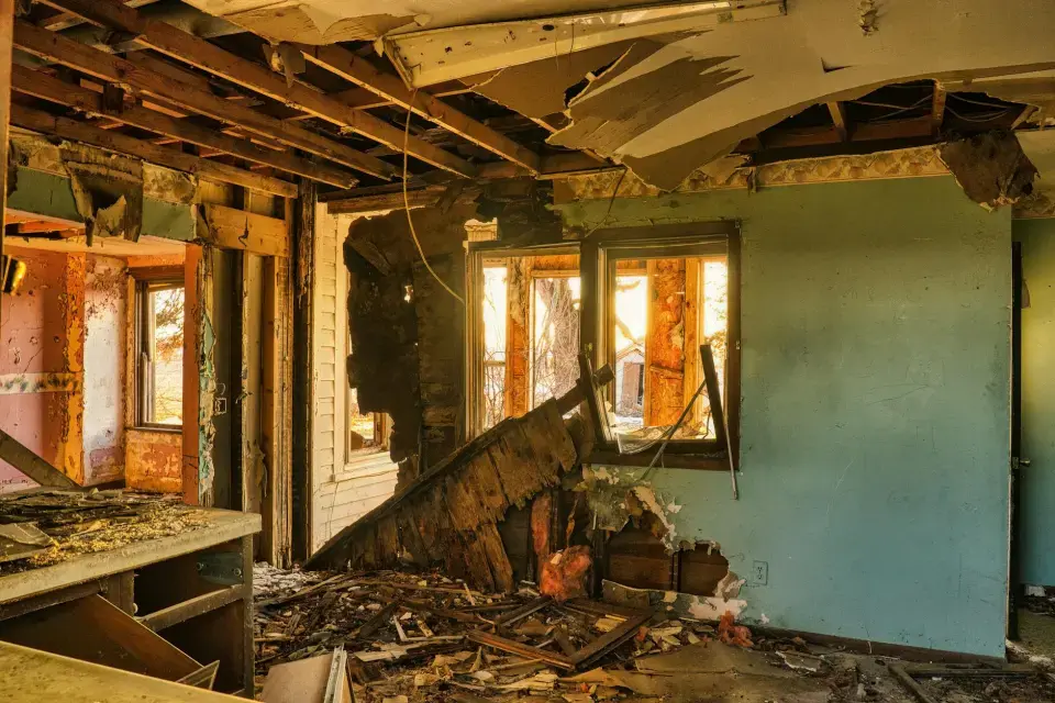 Our Story: Protecting Orlando Homes from Mold, One Property at a Time